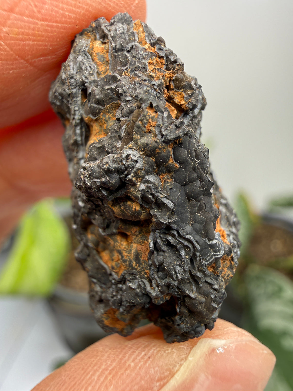 Psilomelane (Botryoidal Manganese Oxides)- Locality Unknown