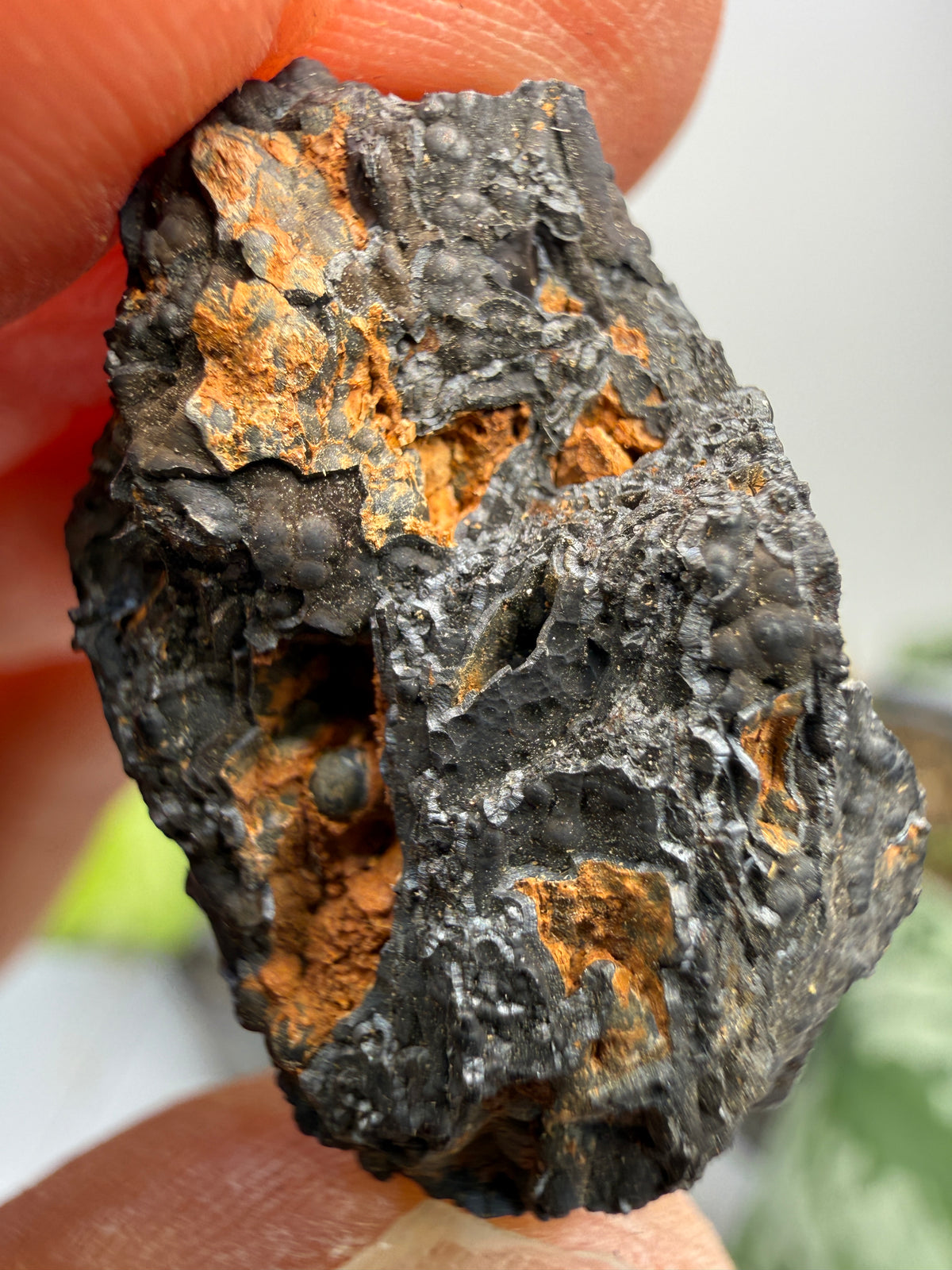 Psilomelane (Botryoidal Manganese Oxides)- Locality Unknown