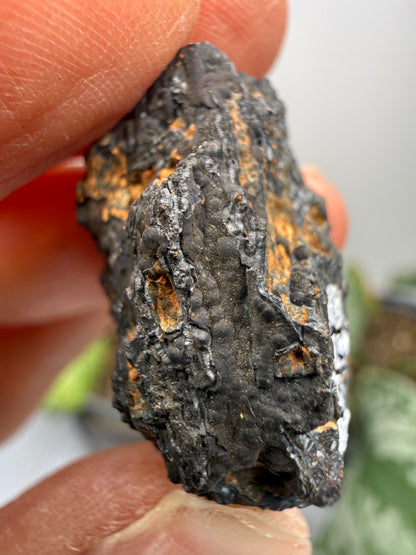 Psilomelane (Botryoidal Manganese Oxides)- Locality Unknown