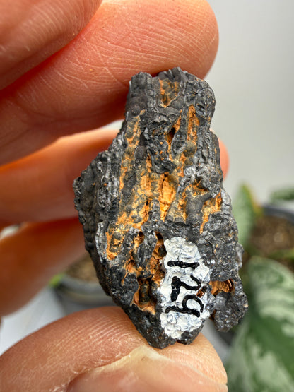 Psilomelane (Botryoidal Manganese Oxides)- Locality Unknown