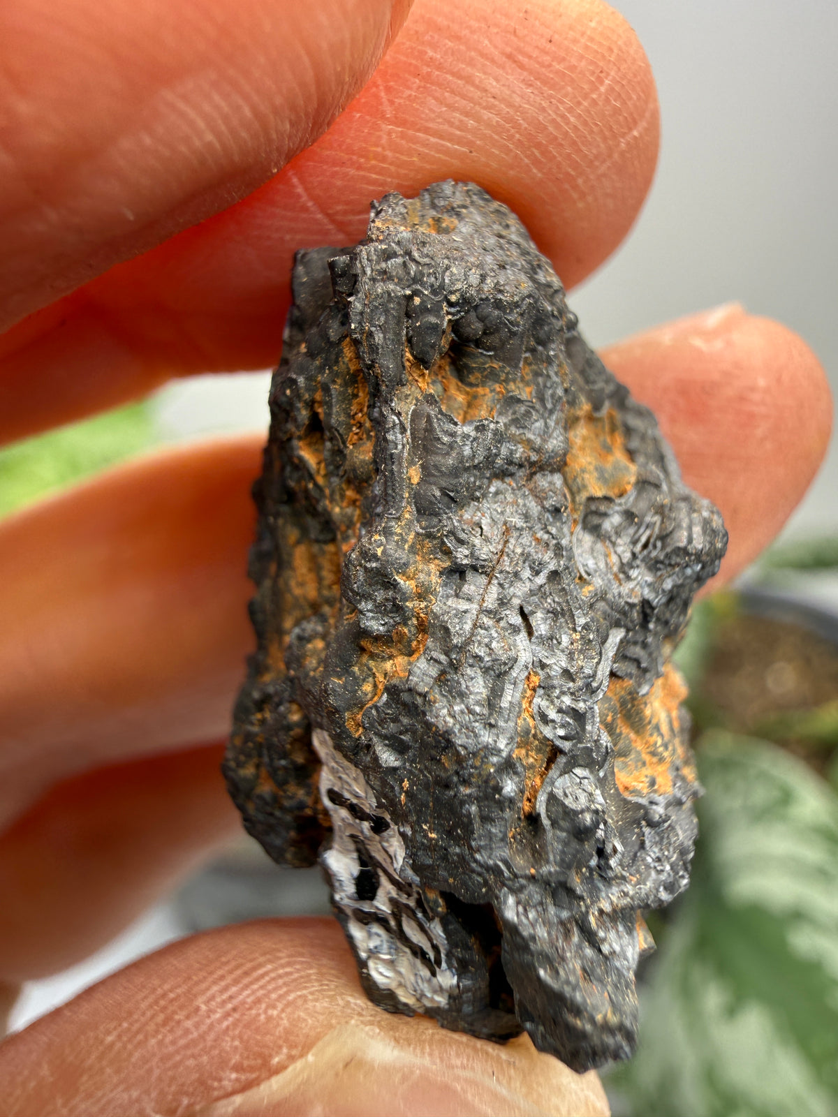 Psilomelane (Botryoidal Manganese Oxides)- Locality Unknown