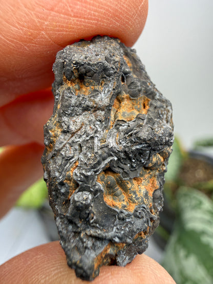 Psilomelane (Botryoidal Manganese Oxides)- Locality Unknown