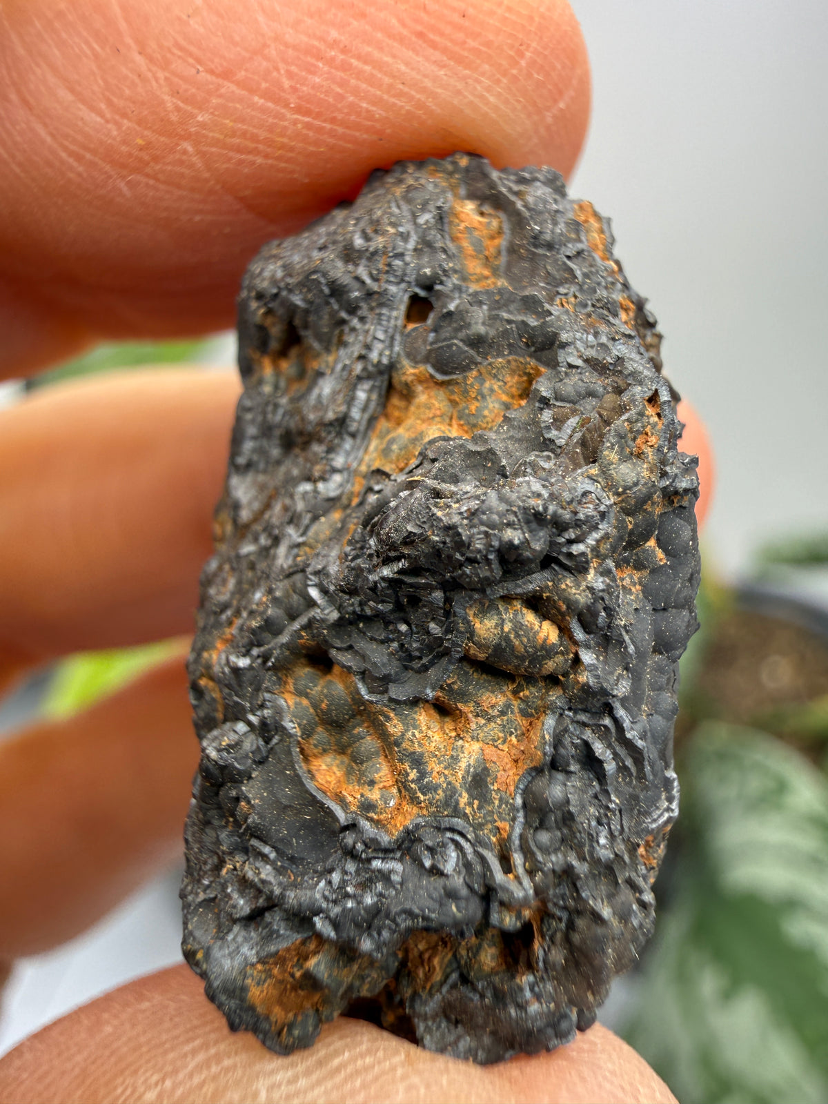 Psilomelane (Botryoidal Manganese Oxides)- Locality Unknown