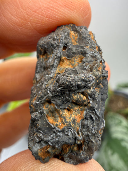 Psilomelane (Botryoidal Manganese Oxides)- Locality Unknown
