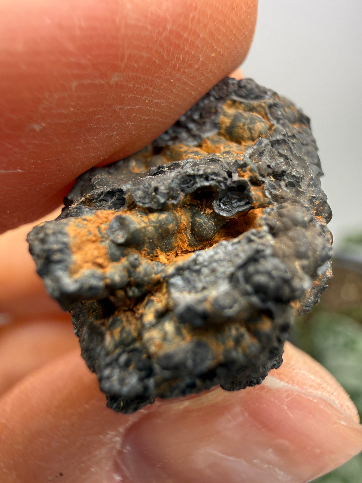 Psilomelane (Botryoidal Manganese Oxides)- Locality Unknown