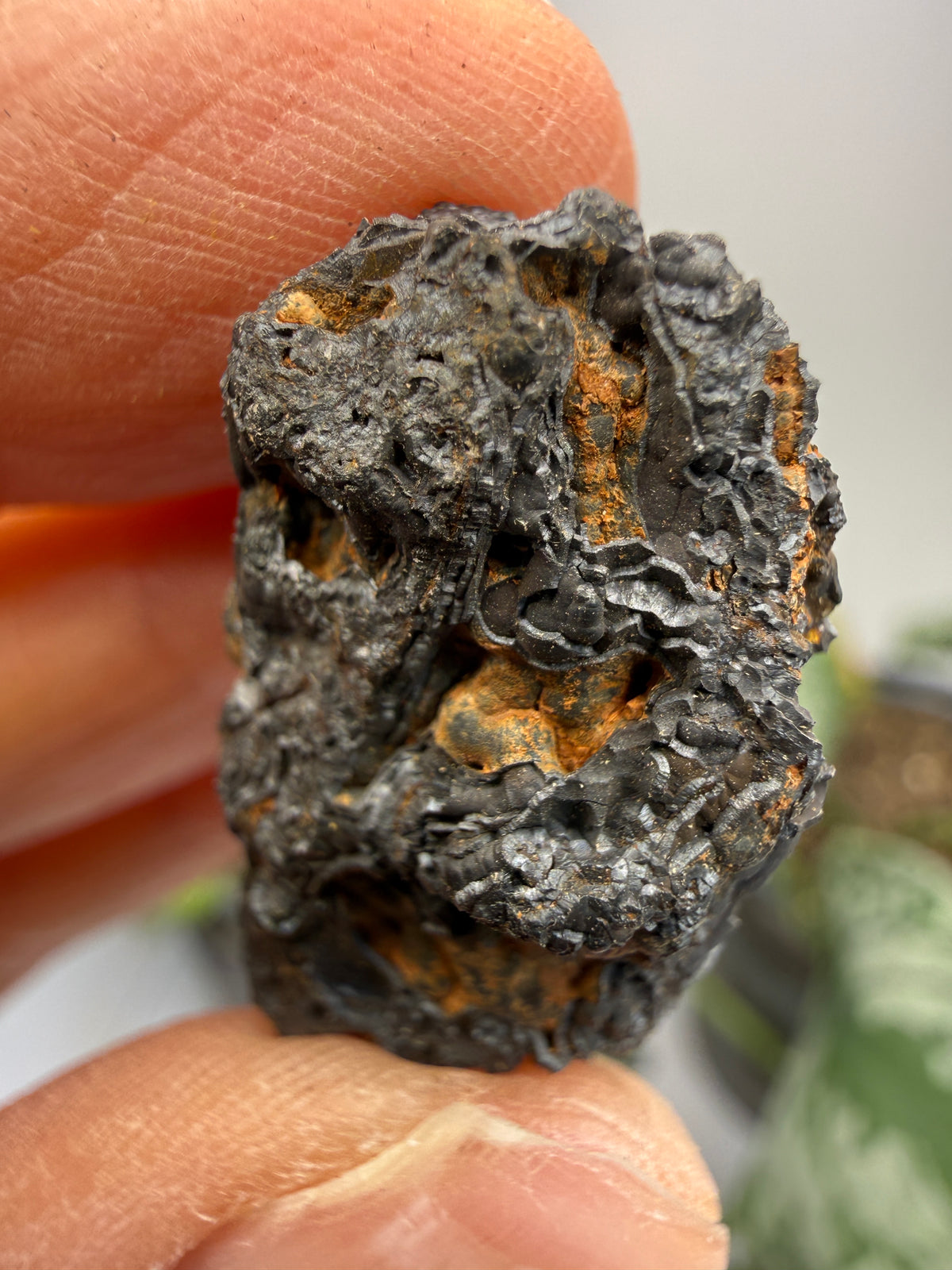 Psilomelane (Botryoidal Manganese Oxides)- Locality Unknown