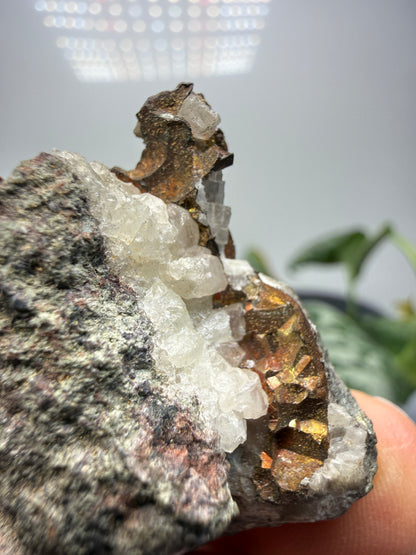 Calcite with Copper- Arizona, USA