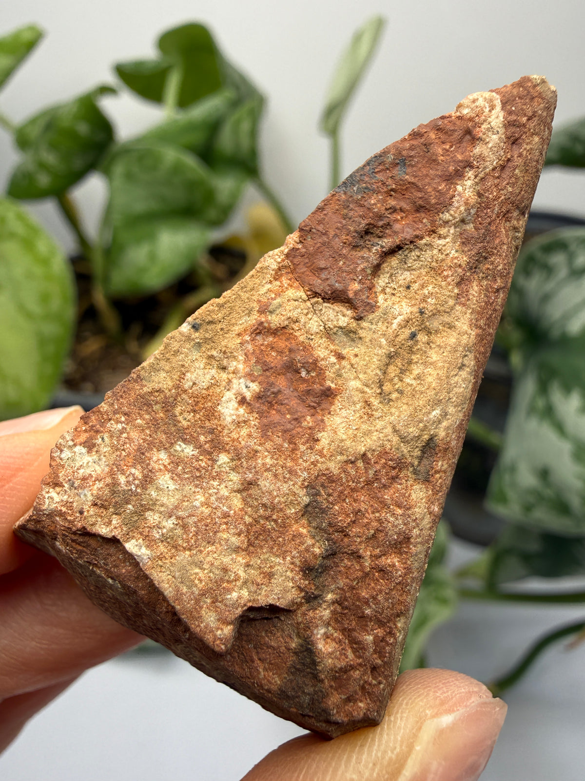 Sandstone- Jack Pine River, Ontario, Canada