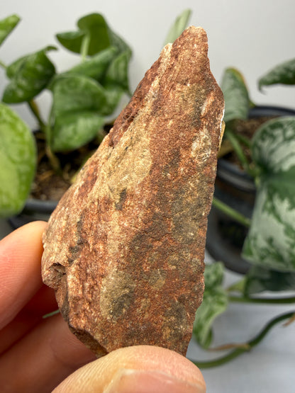 Sandstone- Jack Pine River, Ontario, Canada