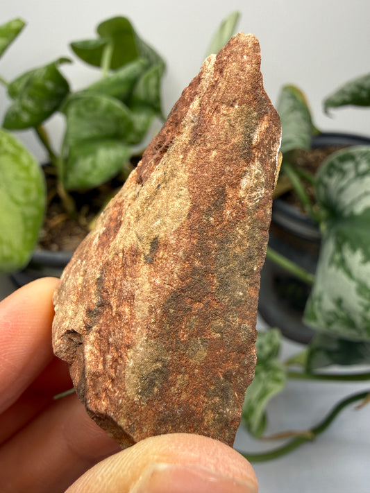 Sandstone- Jack Pine River, Ontario, Canada