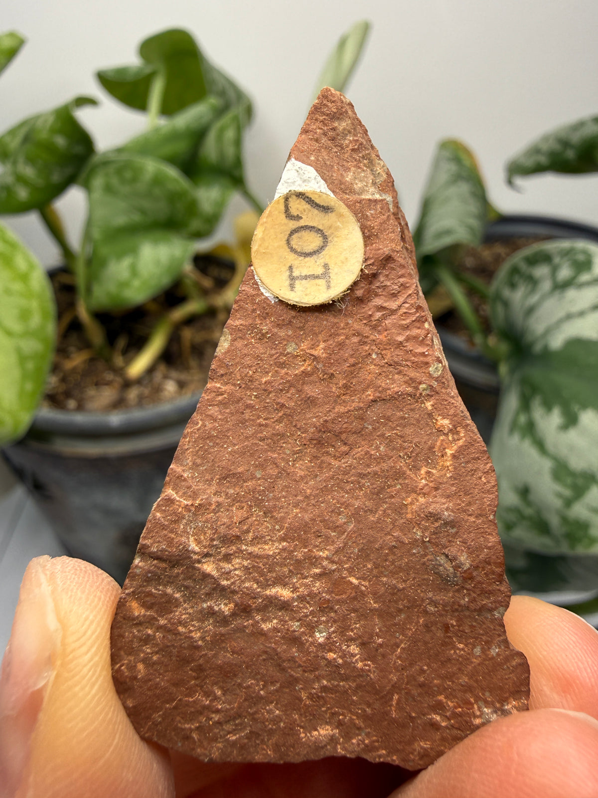 Sandstone- Jack Pine River, Ontario, Canada
