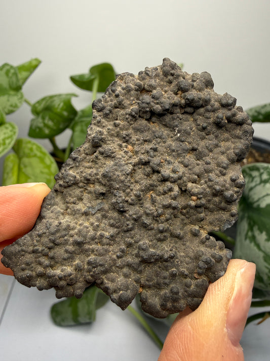 Hausmannite (Botryoidal)- Långban, Filipstad Municipality, Värmland County, Sweden