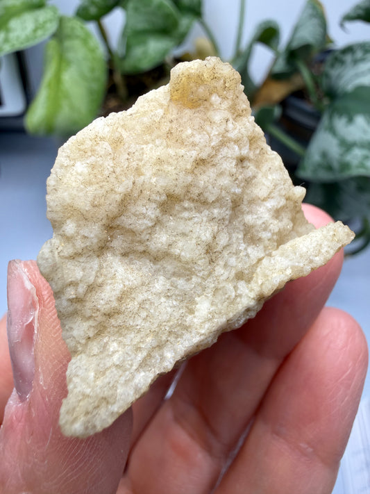 Brucite- Luning, Mineral County, Nevada, USA