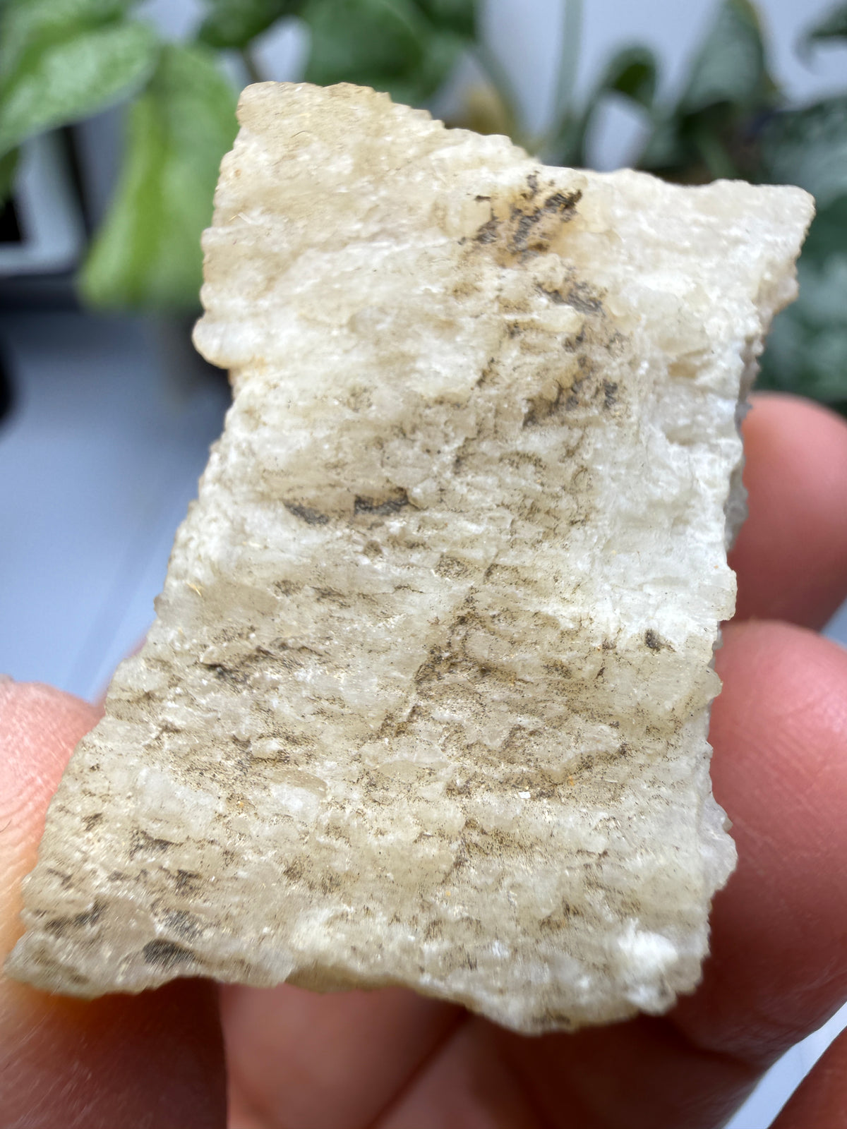 Brucite- Luning, Mineral County, Nevada, USA