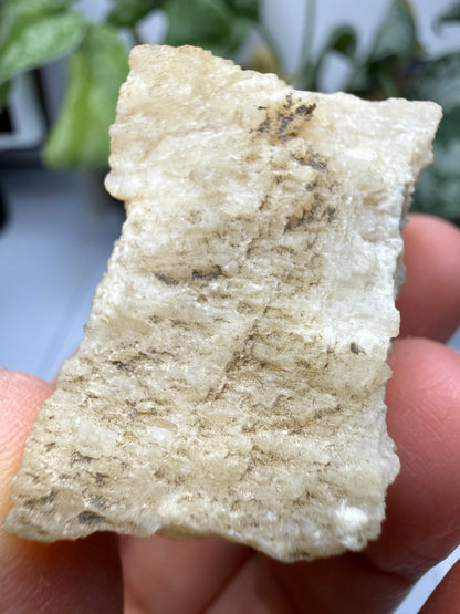 Brucite- Luning, Mineral County, Nevada, USA