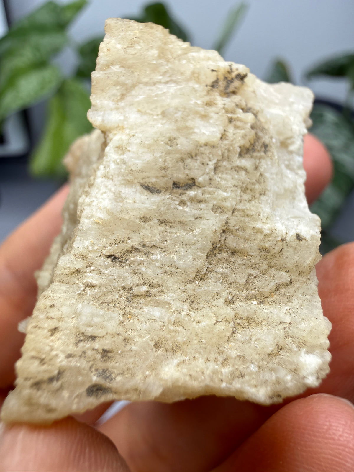 Brucite- Luning, Mineral County, Nevada, USA