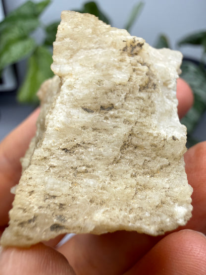 Brucite- Luning, Mineral County, Nevada, USA