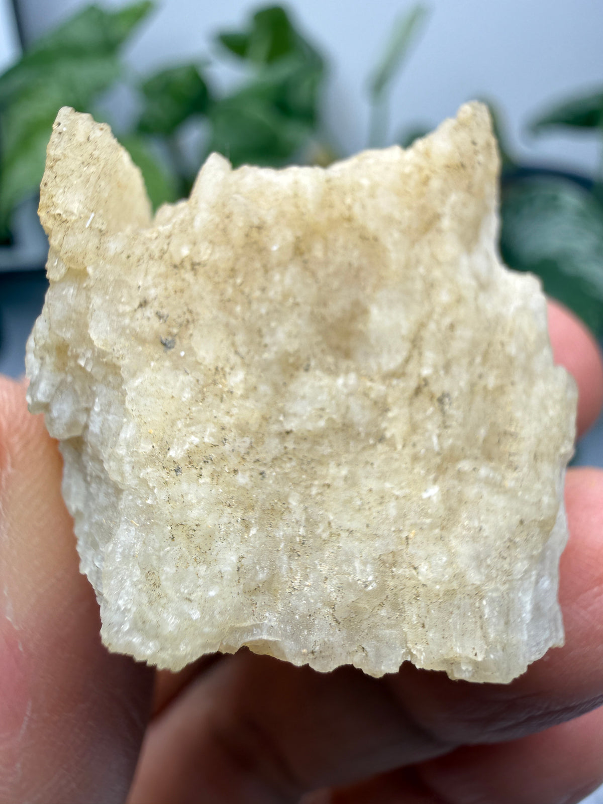 Brucite- Luning, Mineral County, Nevada, USA