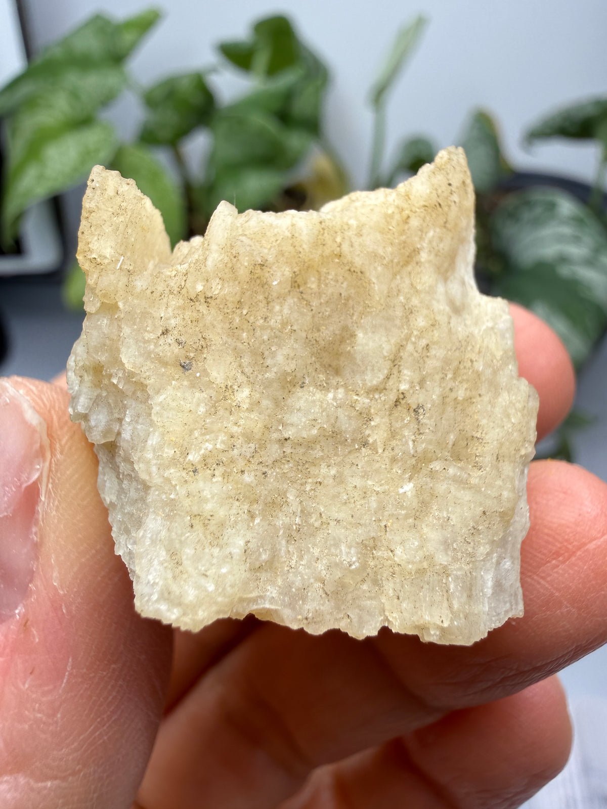Brucite- Luning, Mineral County, Nevada, USA