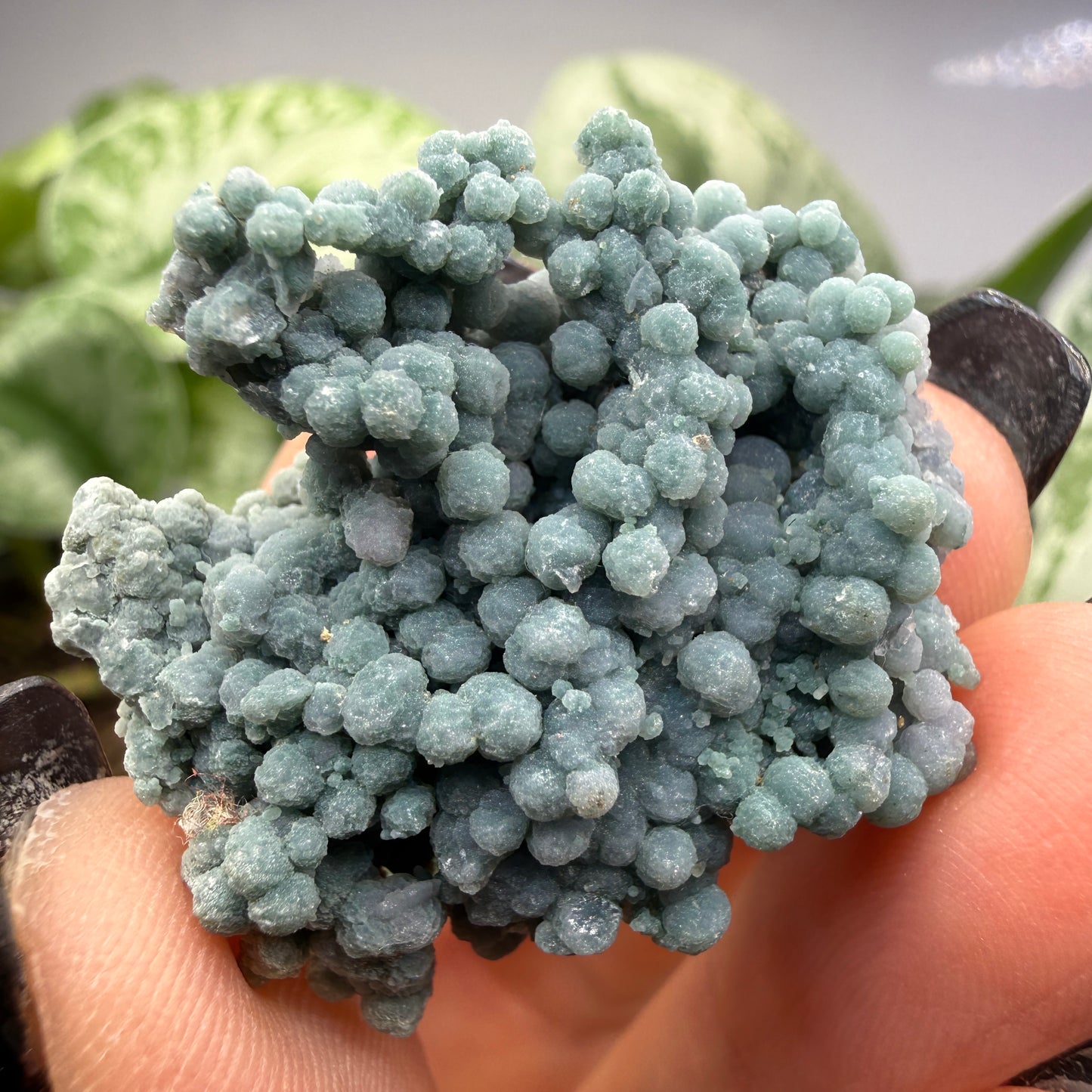 Grape Agate (Quartz var. Amethyst)- Mamuju Regency, West Sulawesi Province, Indonesia