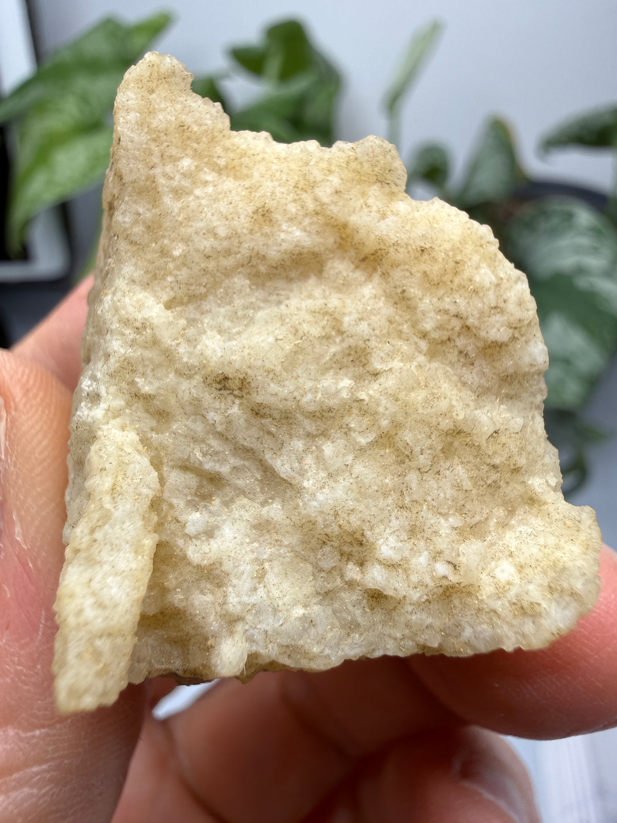 Brucite- Luning, Mineral County, Nevada, USA