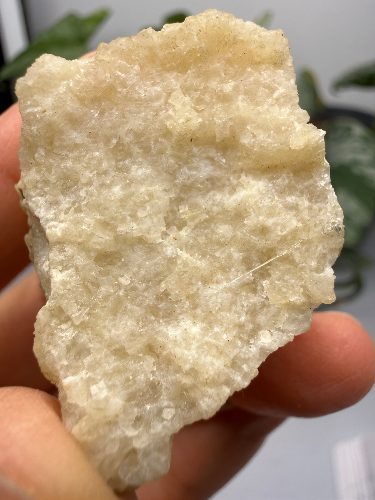 Brucite- Luning, Mineral County, Nevada, USA