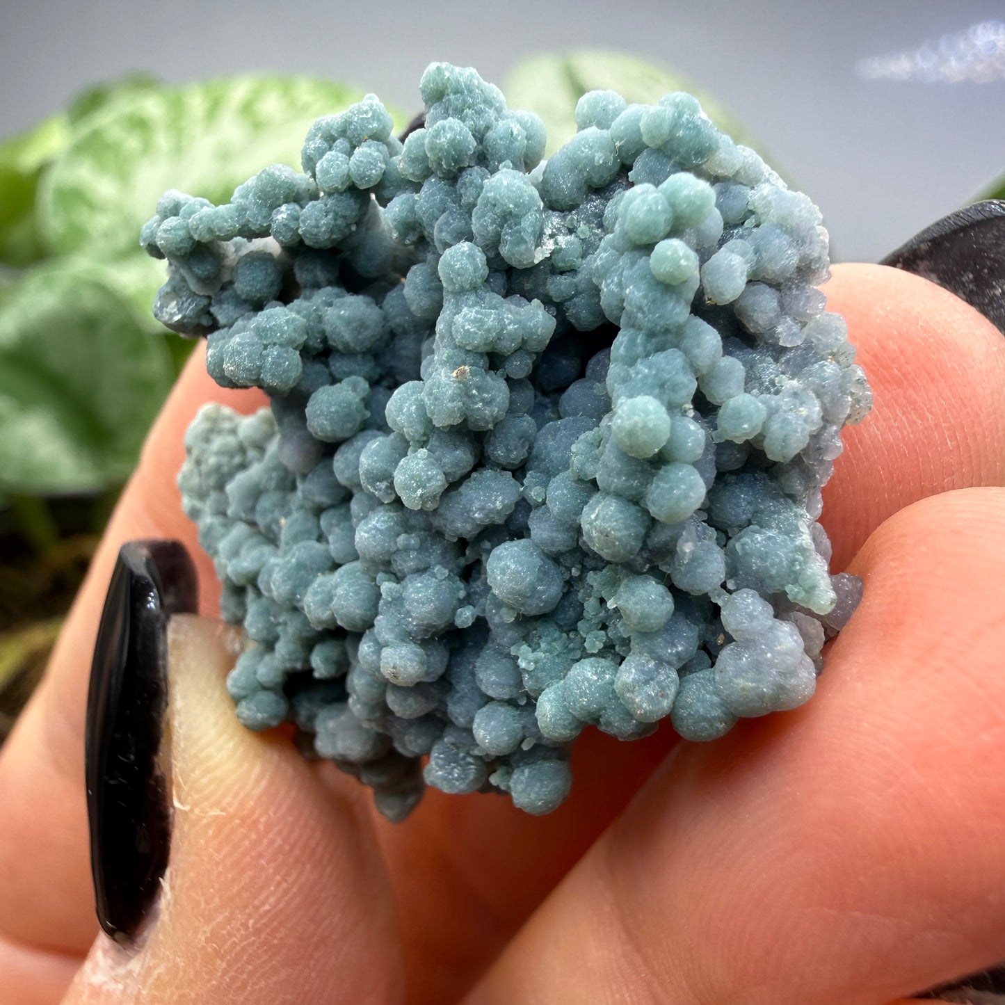 Grape Agate (Quartz var. Amethyst)- Mamuju Regency, West Sulawesi Province, Indonesia