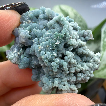 Grape Agate (Quartz var. Amethyst)- Mamuju Regency, West Sulawesi Province, Indonesia