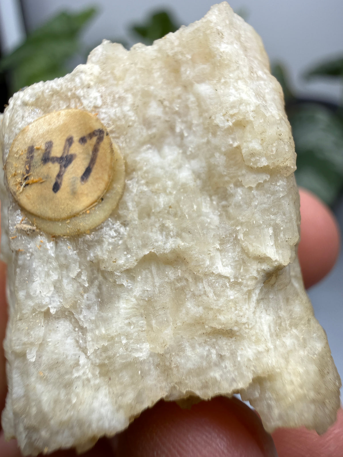 Brucite- Luning, Mineral County, Nevada, USA