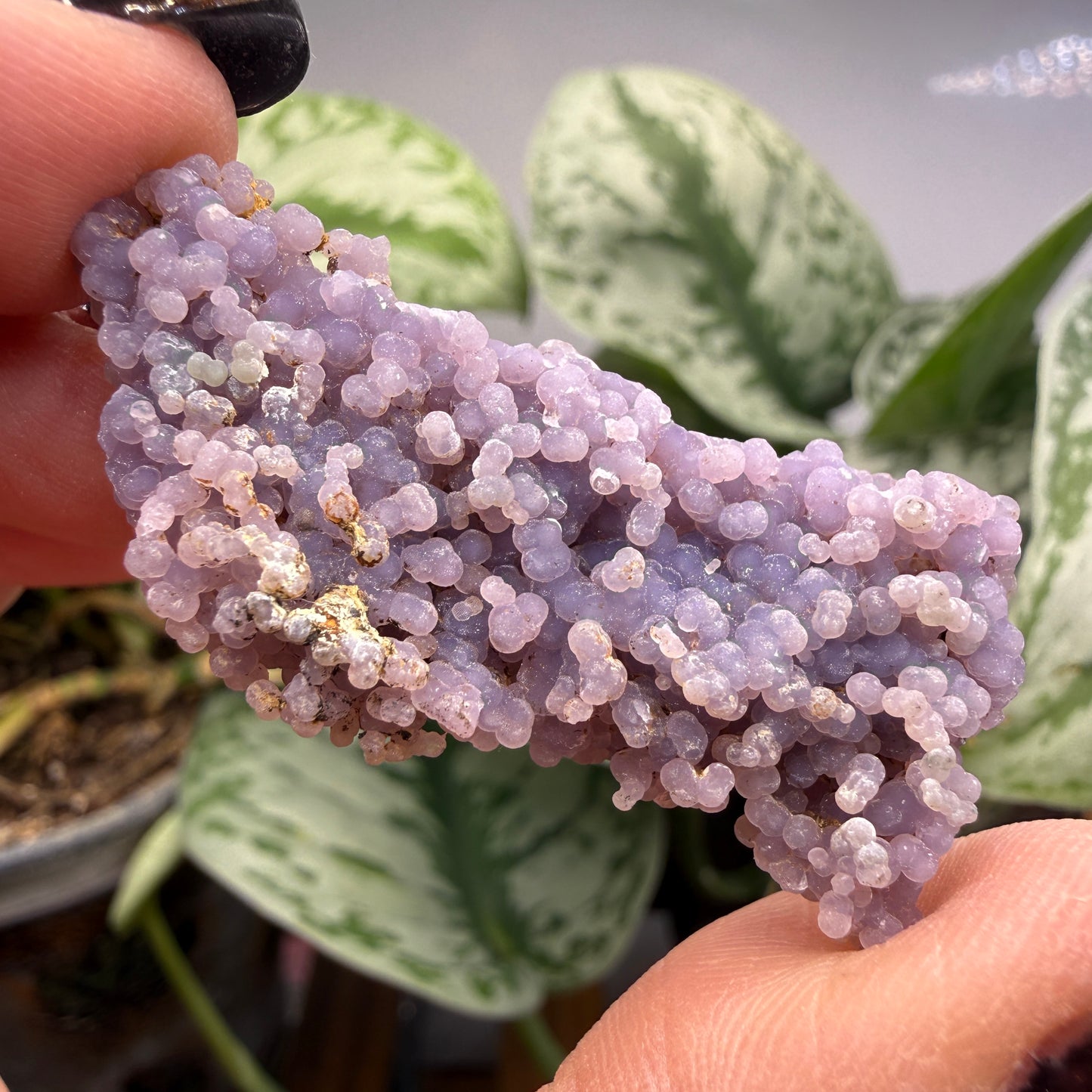 Grape Agate (Quartz var. Amethyst)- Mamuju Regency, West Sulawesi Province, Indonesia