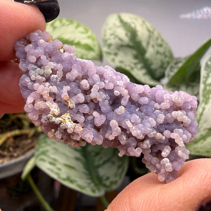 Grape Agate (Quartz var. Amethyst)- Mamuju Regency, West Sulawesi Province, Indonesia