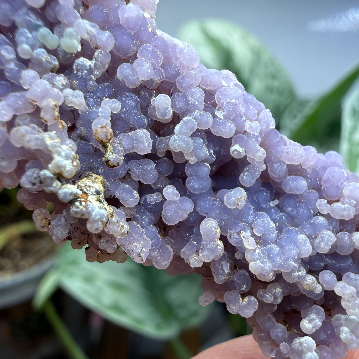 Grape Agate (Quartz var. Amethyst)- Mamuju Regency, West Sulawesi Province, Indonesia