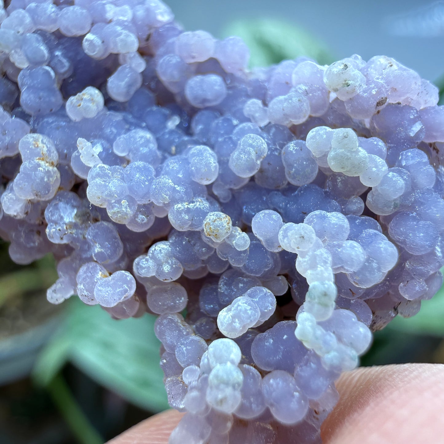 Grape Agate (Quartz var. Amethyst)- Mamuju Regency, West Sulawesi Province, Indonesia