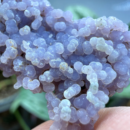 Grape Agate (Quartz var. Amethyst)- Mamuju Regency, West Sulawesi Province, Indonesia