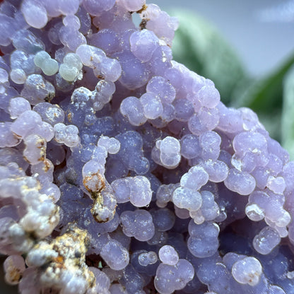 Grape Agate (Quartz var. Amethyst)- Mamuju Regency, West Sulawesi Province, Indonesia