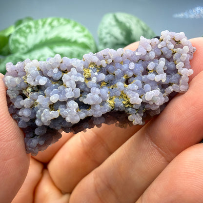 Grape Agate (Quartz var. Amethyst)- Mamuju Regency, West Sulawesi Province, Indonesia