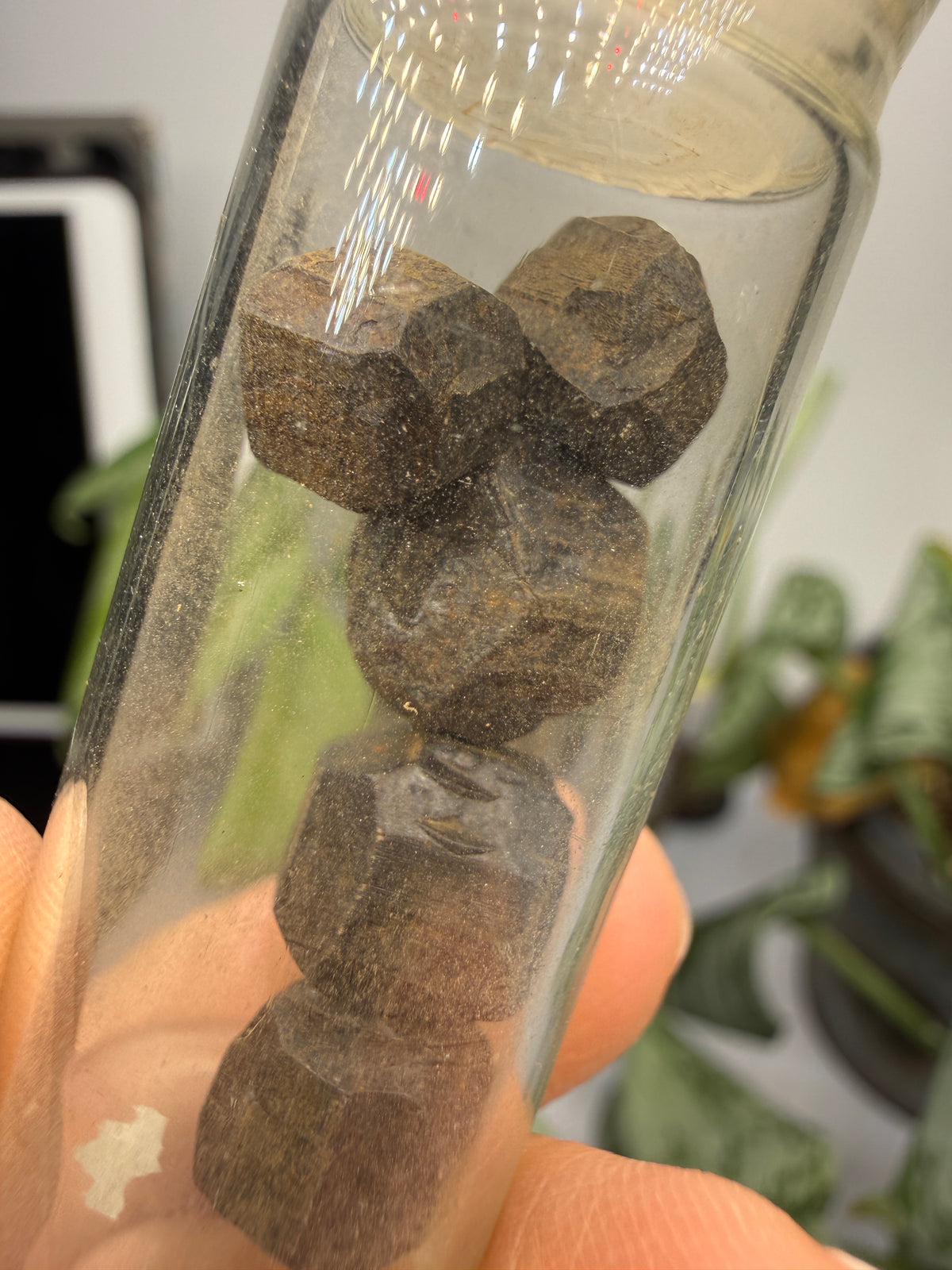 Limonite Pseudomorphs After Pyrite (5 Specimens)- California, USA