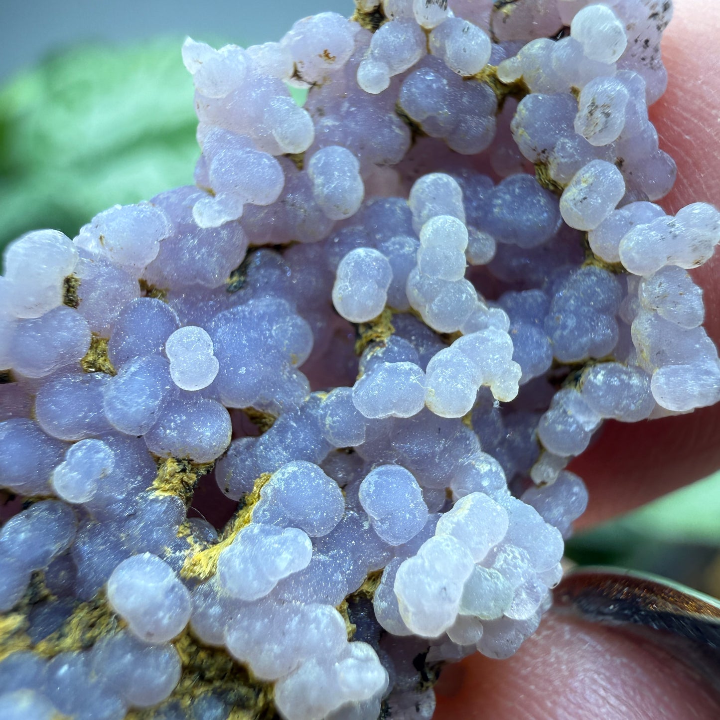 Grape Agate (Quartz var. Amethyst)- Mamuju Regency, West Sulawesi Province, Indonesia