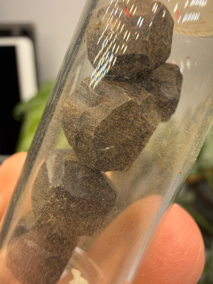 Limonite Pseudomorphs After Pyrite (5 Specimens)- California, USA