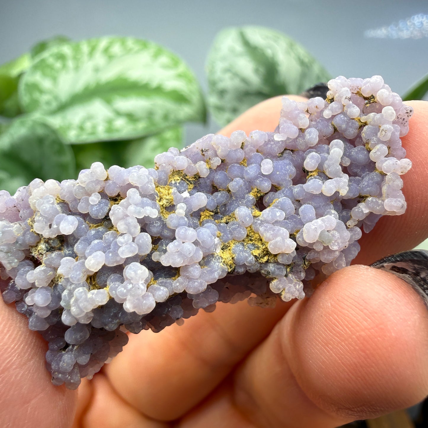 Grape Agate (Quartz var. Amethyst)- Mamuju Regency, West Sulawesi Province, Indonesia