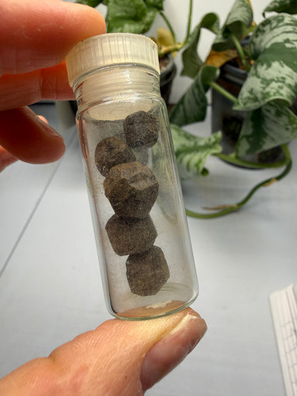 Limonite Pseudomorphs After Pyrite (5 Specimens)- California, USA