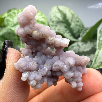 Grape Agate (Quartz var. Amethyst)- Mamuju Regency, West Sulawesi Province, Indonesia