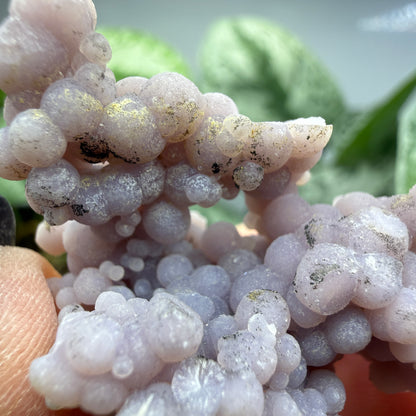 Grape Agate (Quartz var. Amethyst)- Mamuju Regency, West Sulawesi Province, Indonesia