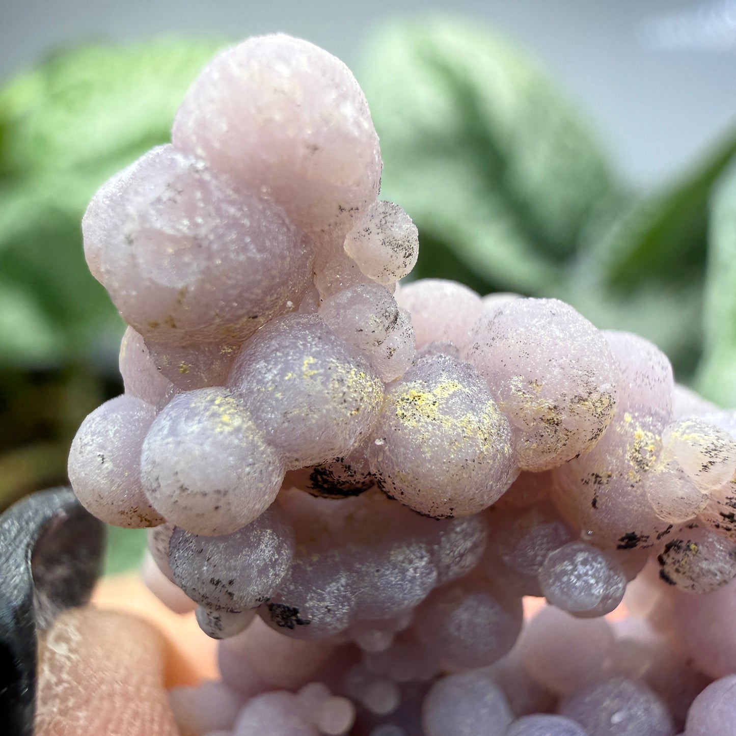 Grape Agate (Quartz var. Amethyst)- Mamuju Regency, West Sulawesi Province, Indonesia