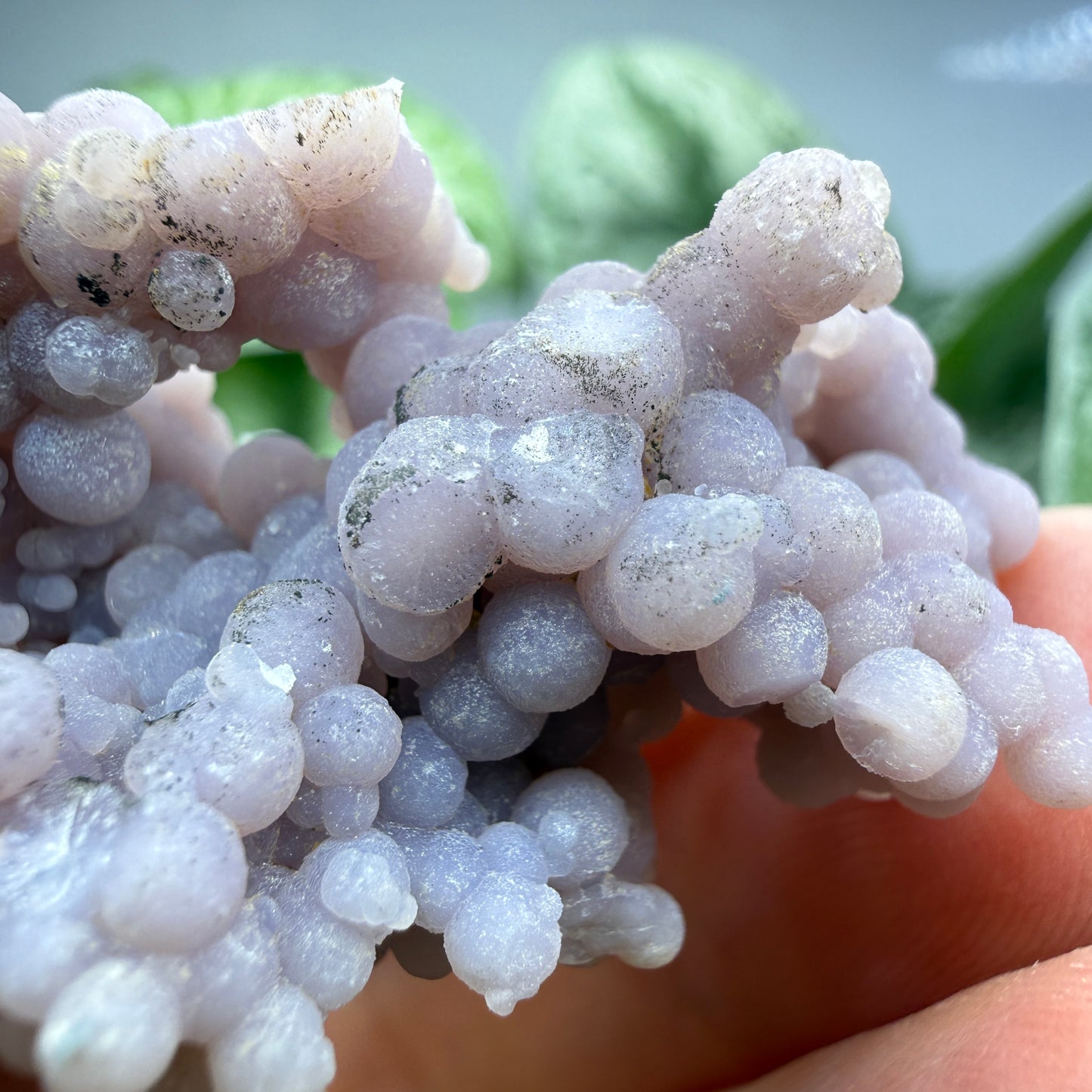 Grape Agate (Quartz var. Amethyst)- Mamuju Regency, West Sulawesi Province, Indonesia