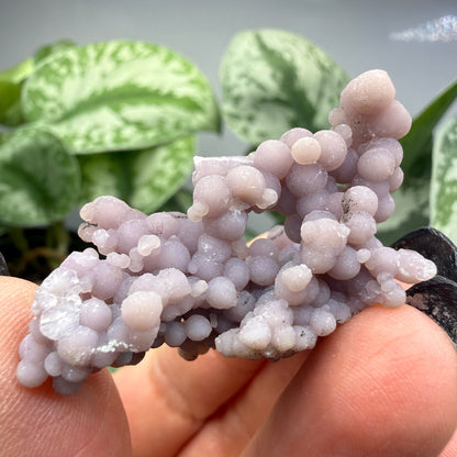 Grape Agate (Quartz var. Amethyst)- Mamuju Regency, West Sulawesi Province, Indonesia