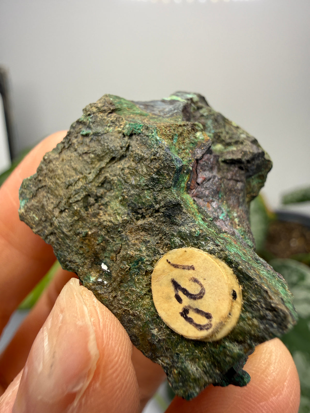 Cuprite, Malachite- Butte, Silver Bow County, Montana, USA