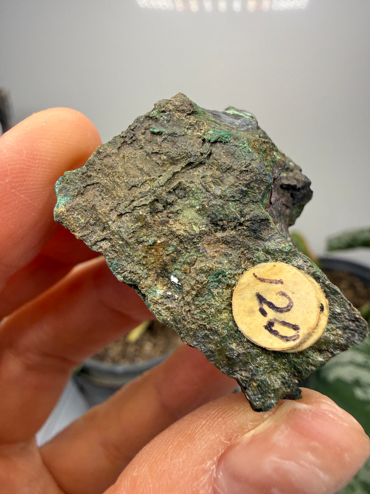 Cuprite, Malachite- Butte, Silver Bow County, Montana, USA