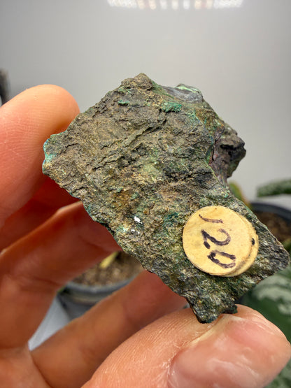 Cuprite, Malachite- Butte, Silver Bow County, Montana, USA