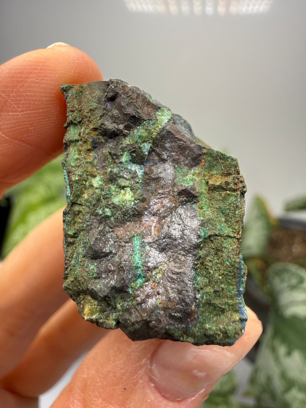 Cuprite, Malachite- Butte, Silver Bow County, Montana, USA
